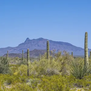 Epic mountain landscape scenery from the walking trail of the preserve park