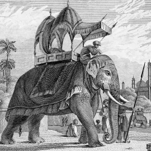 Equipped, decorated elephant with stretcher