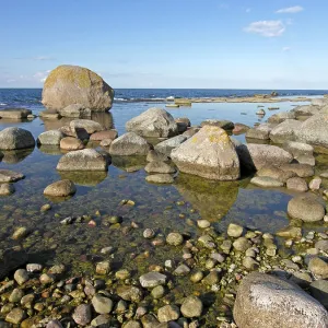 Erratic blocks big granit stones on the coast of the north northern point of island Olands Norra Udden Oland Sweden Erratic blocks big granit stones on the coast of the north northern point of island Olands Norra Udden Oland Sweden