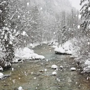 Erzbach brook during snowfall, between Eisenerz and Hieflau