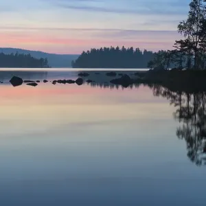 Evening mood in the Glaskogen nature reserve