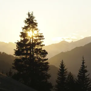 Evening, mountains, mountain, mountain