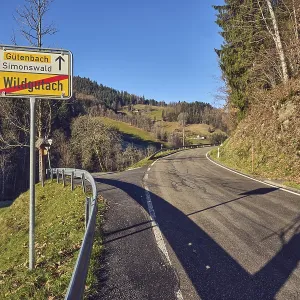 Exit sign at the end of Wildgutach Exit sign at the end of Wildgutach