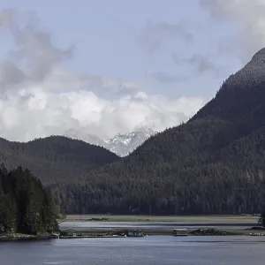 An expansive view of a lake bordered by forests and mountains under a cloudy sky in Tofino