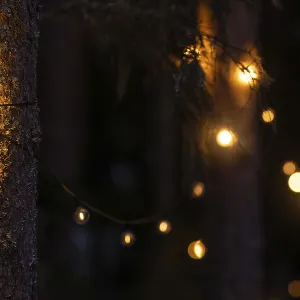 Fairy lights on pine trunks emit warm