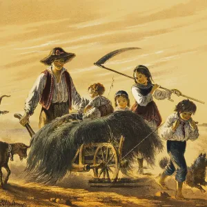 Family returns home with wheelbarrow full of grass