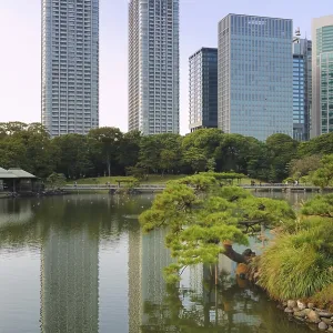 Very famous Hamarikyu Zen garden with tall Shiodome skyscrapers backward in Tokyo Japan