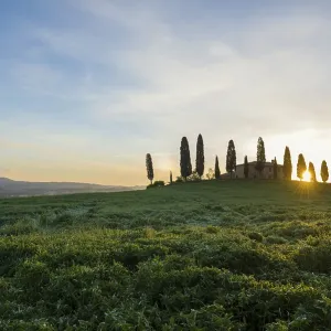 Farm with cypress trees, sunrise Farm with cypress trees, sunrise