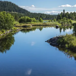 Fascinating natural landscape in Golsfjellet in the summertime in Norway Fascinating natural landscape in Golsfjellet in the summertime in Norway