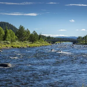 Fascinating natural landscape in Golsfjellet in the summertime in Norway