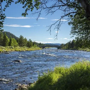 Fascinating natural landscape in Golsfjellet in the summertime in Norway