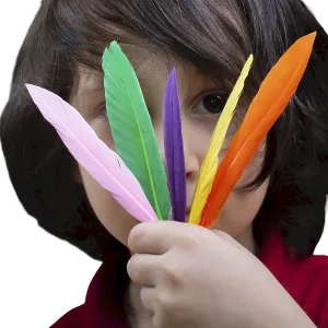 Feathers isolated elements set Feathers isolated elements set
