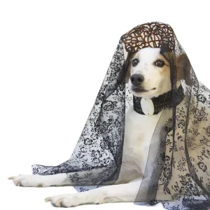 Female dog with mantilla and spanish peineta isolated on white background Female dog with mantilla and spanish peineta isolated on white background