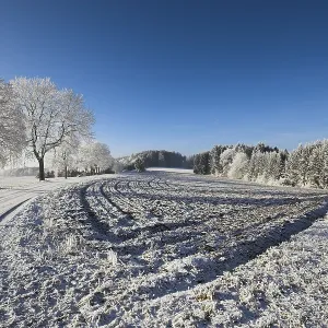 Fields along old postal route, Hegau Fields along old postal route, Hegau