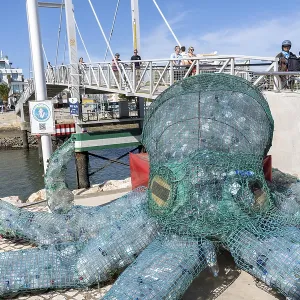 Figure of an octopus, filled with PET bottles