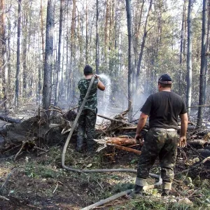 Firemen fighting a bushfire wildfire in the coniferous forest Firemen fighting a bushfire wildfire in the coniferous forest