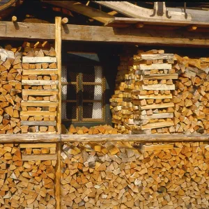 Firewood, storage in the forest