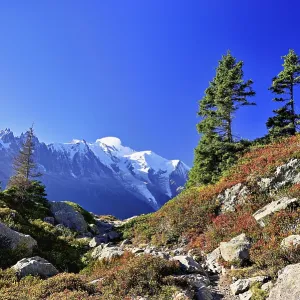 Autumnal Landscape with Mont Blanc Massif Print