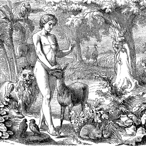 First Book of Genesis, chapter 1 First Book of Genesis, chapter 1