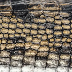 Detail of a Fish-eating crocodile scales Detail of a Fish-eating crocodile scales
