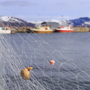 Fishing net with mussel, Tromvik