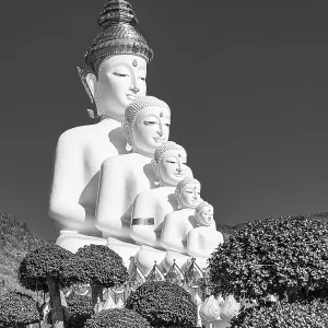 Five-headed Buddha statue, black and white photo Five-headed Buddha statue, black and white photo