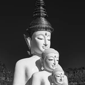 Five-headed Buddha statue, black and white photo Five-headed Buddha statue, black and white photo