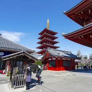 Five-story pagoda, Buddhist temple complex