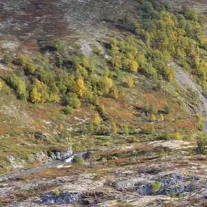 Fjell landscape in autumn, Rondane National Park