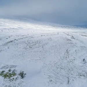 Fjell with snow pressed by the wind