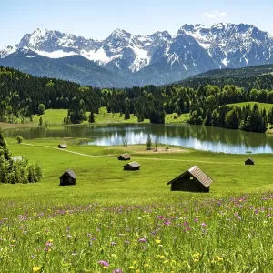 Flower meadow with hay barn at Geroldsee