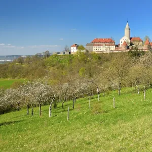 Flowering fruit trees below Leuchtenburg Castle Flowering fruit trees below Leuchtenburg Castle