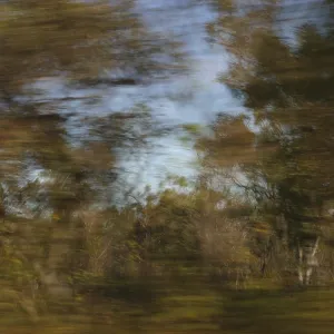 Flying landscape darwin northern territory australia