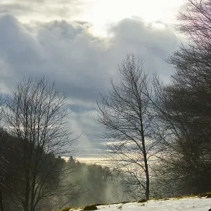Fog coming up from a vally with trees in front