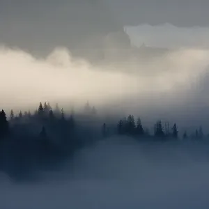 Fog in the Goeschener Valley, Canton of Uri