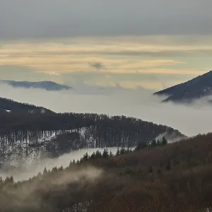 Fog lying in a valley at sunset