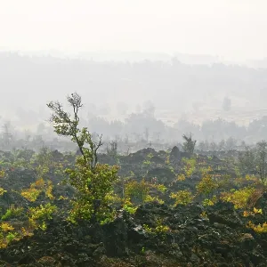 Foggy landscape of the valley, where the volcano was