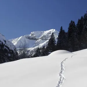 Foostock in deep winter, in the back the Alps Vorsiez Foostock in deep winter, in the back the Alps Vorsiez