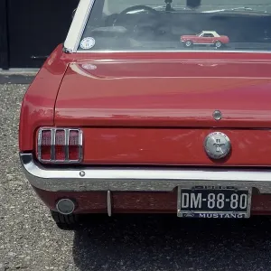 Ford Mustang Ford Mustang