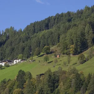 Forest and farms on Kartnall's Alm in autumn