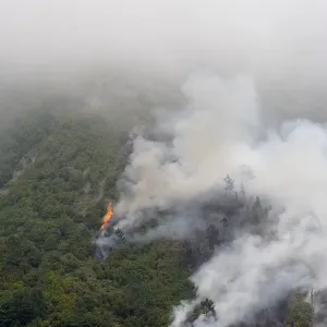 Forest fire in Parque Natural de Madeira Forest fire in Parque Natural de Madeira