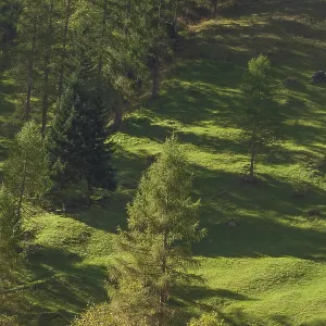 Forest and meadows in autumn, Pinnistal Forest and meadows in autumn, Pinnistal