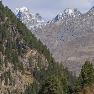Forest and Mountains in Mutterberg Valley Autumn Print