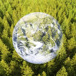 Forest, planet earth with trees Forest, planet earth with trees