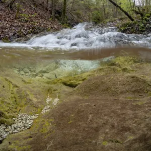 Forest stream with waterfall in the UNESCO World Heritage Beech Forest in the Limestone Alps National Park Forest stream with waterfall in the UNESCO World Heritage Beech Forest in the Limestone Alps National Park