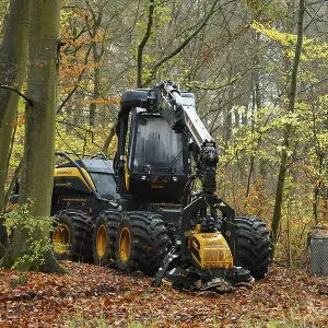 A forestry harvester parked in a deciduous forest