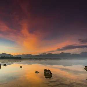Forggensee with reflection of the cloudy sky and the Allgaeuer mountains in the background at sunrise