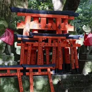 Fox statue, Torii, Kumataka, Fushimi Inari Shrine
