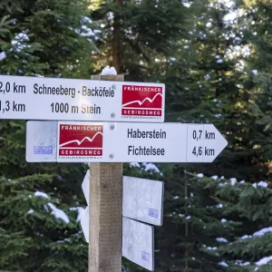 Frankischer Gebirgsweg hiking signs pointing towards Schneeberg and Haberste in winter forest Frankischer Gebirgsweg hiking signs pointing towards Schneeberg and Haberste in winter forest