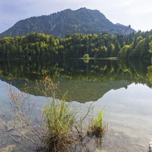 Freibergsee, behind it the Heni-Klopfer ski jump Freibergsee, behind it the Heni-Klopfer ski jump